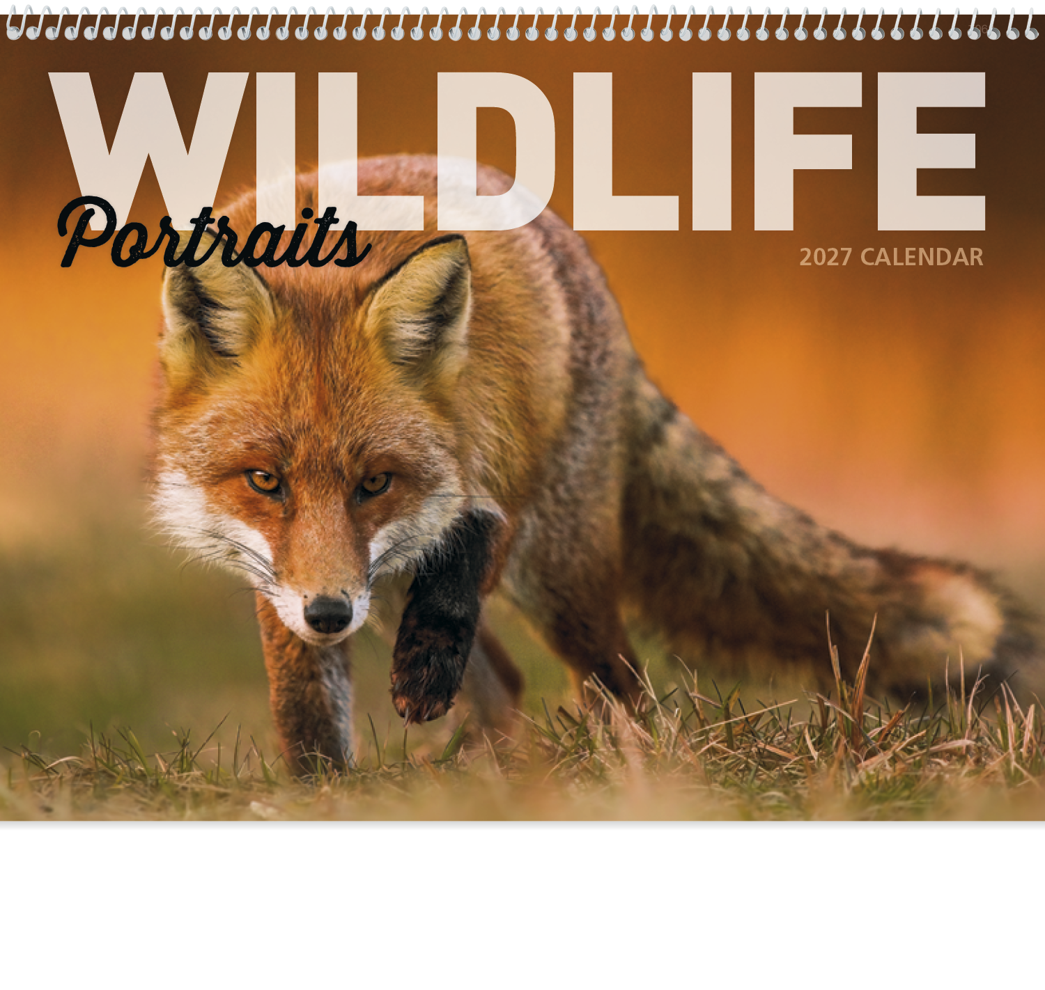 Good Value™ Wildlife Portraits - Spiral Calendar 82